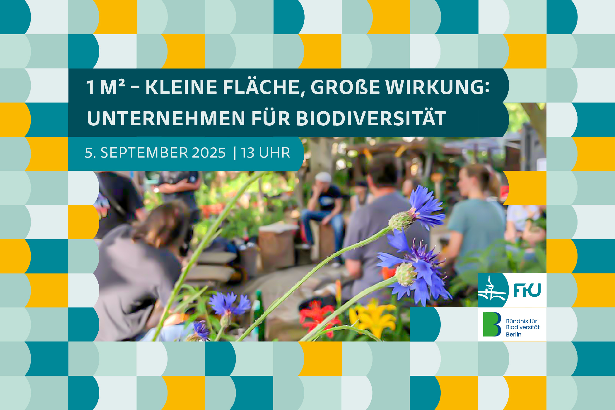 1 m² – Kleine Fläche, große Wirkung: Unternehmen für Biodiversität