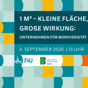Impuls "1 m²"
